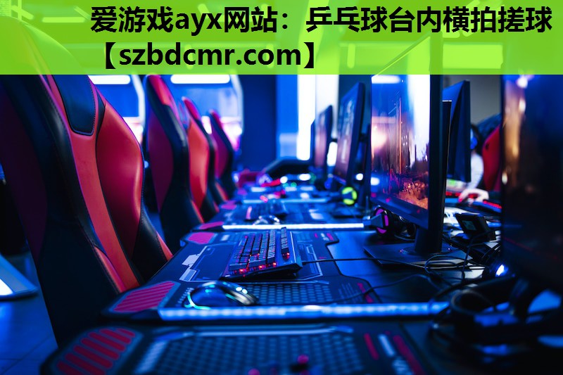 爱游戏ayx网站：乒乓球台内横拍搓球