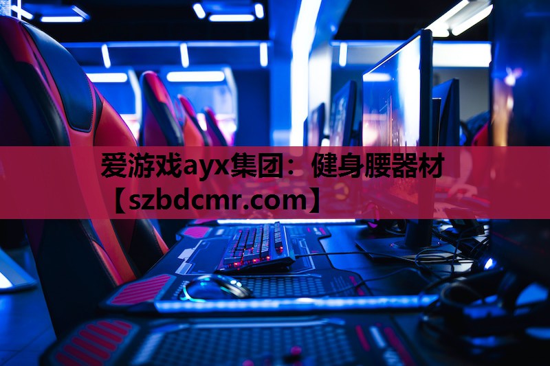 爱游戏ayx集团：健身腰器材