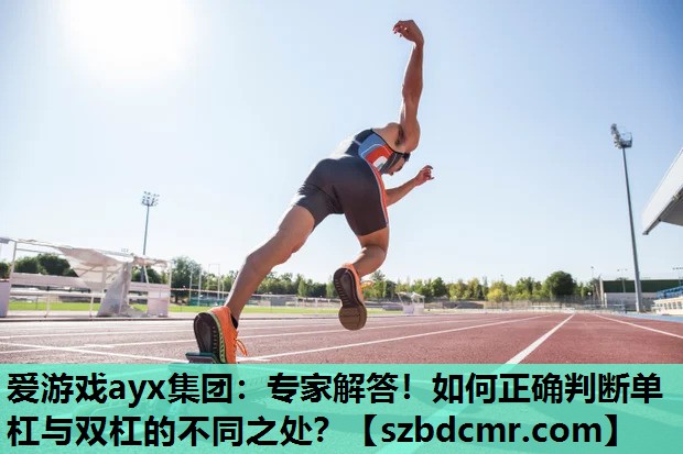 爱游戏ayx集团：专家解答！如何正确判断单杠与双杠的不同之处？