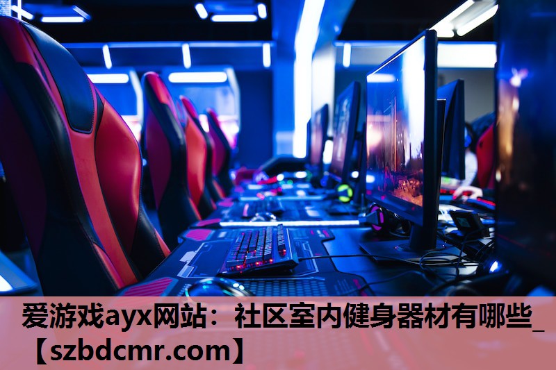 爱游戏ayx网站：社区室内健身器材有哪些_