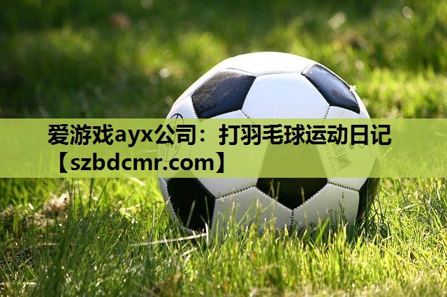 爱游戏ayx公司：打羽毛球运动日记