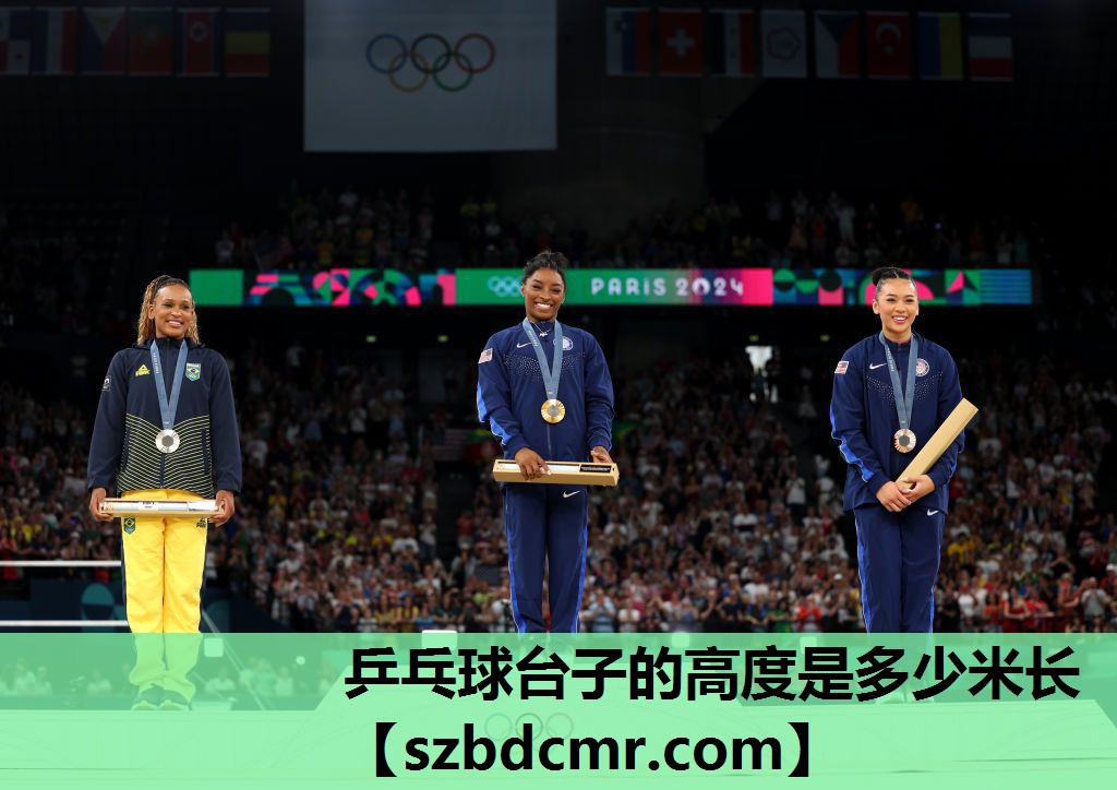 乒乓球台子的高度是多少米长