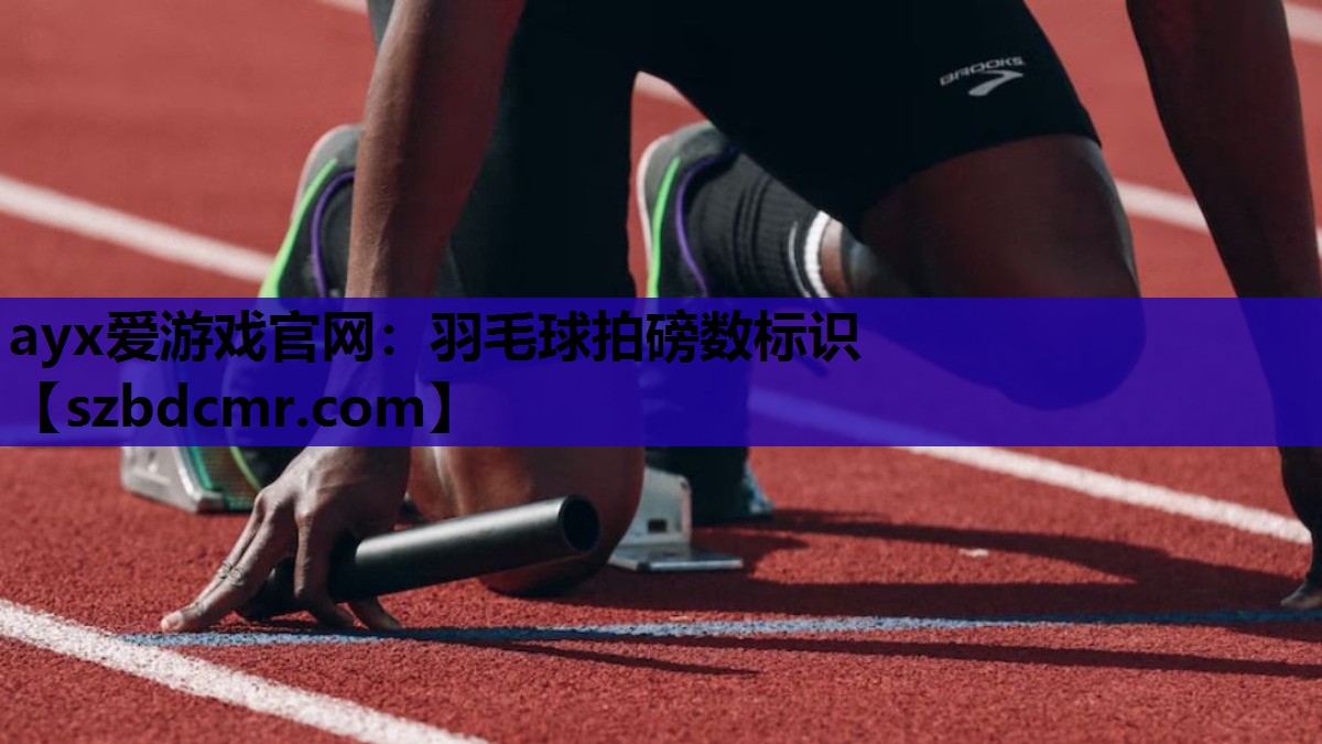羽毛球拍磅数标识