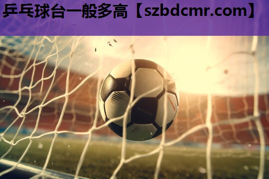 乒乓球台一般多高