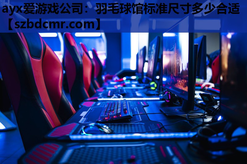 羽毛球馆标准尺寸多少合适